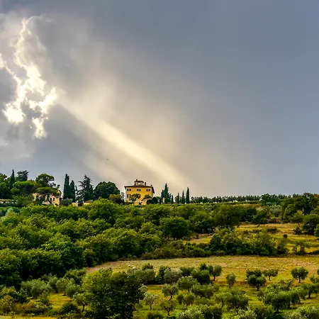 Di Monte Solare Panicale