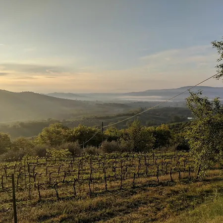 Di Monte Solare Panicale